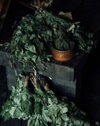 Traditional Finnish Sauna Ritual in a Yurt Sauna